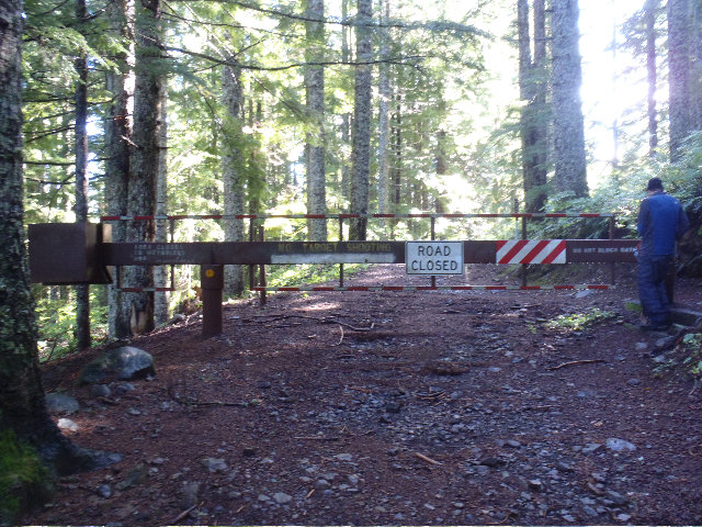 Forest road 315 gate from Larch MT Road