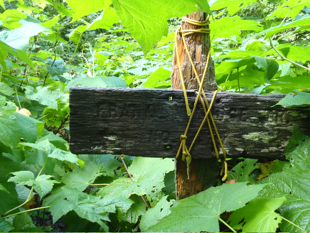 Old sign on Franklin Ridge that is getting burried in the brush