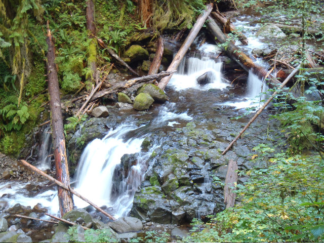 Multnomah Creek -