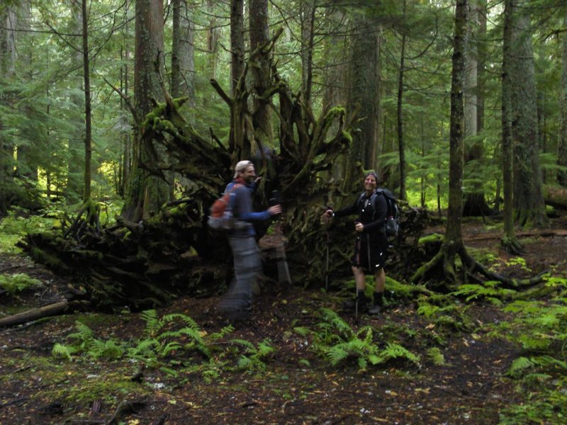 Cedar Swamp area?