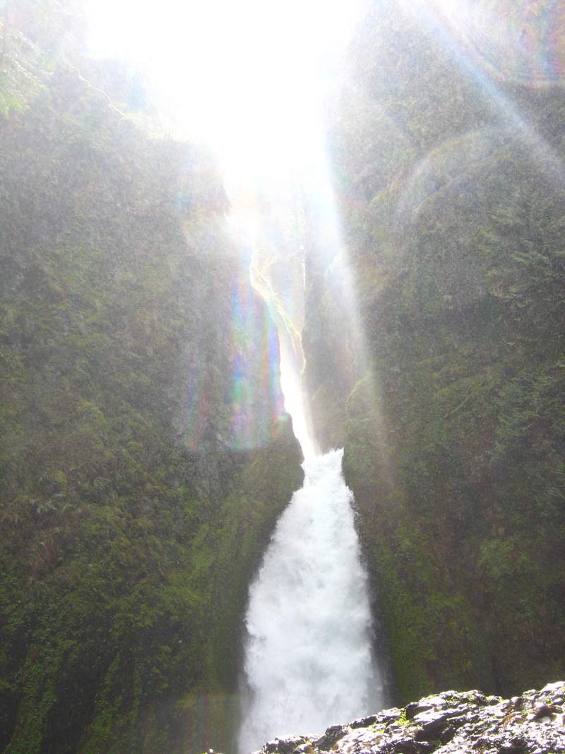 the sun came out