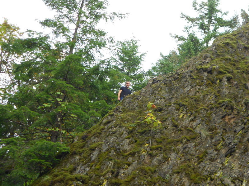 Thum climbed up one of them!