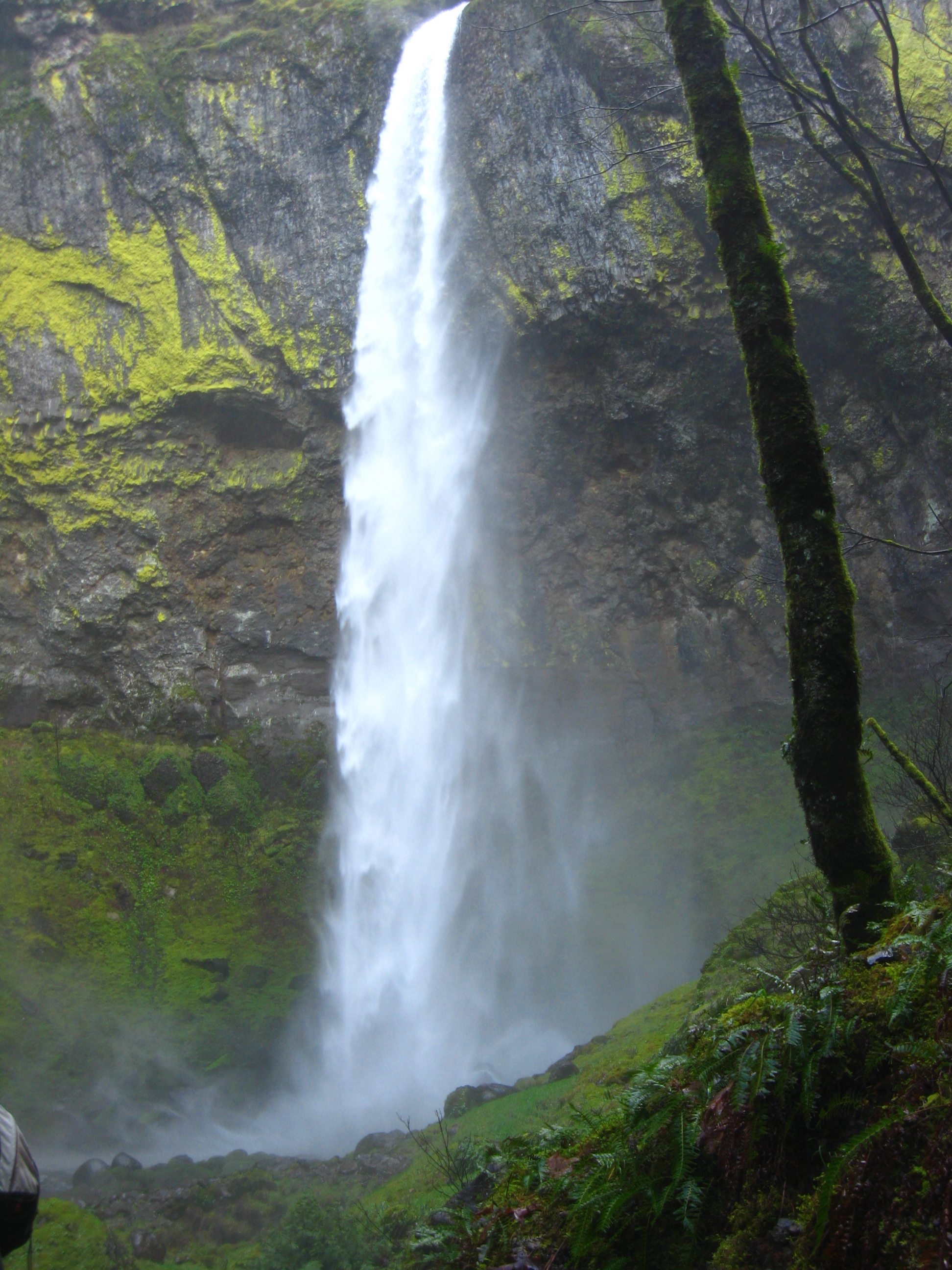 raging elowah falls