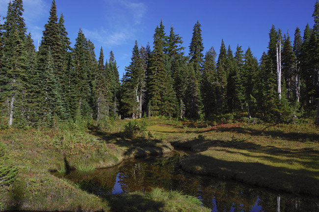 Meadows between Lemei Rock and Cultus Lake