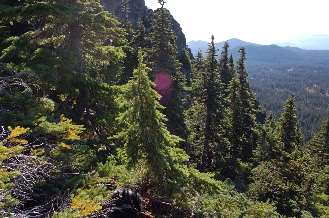 We took wrong approach and ended up on the middle pinnacle. The only way (for us) to hike over to true top without descending to the base of the rock was bushwhacking through/under the thicket on the back side of the ridge