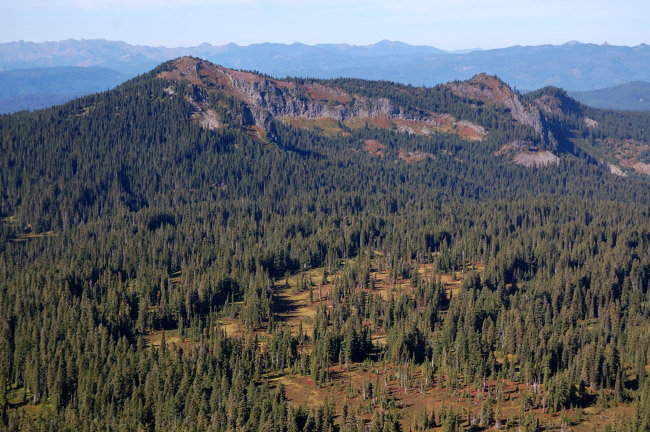 Bird Mountain