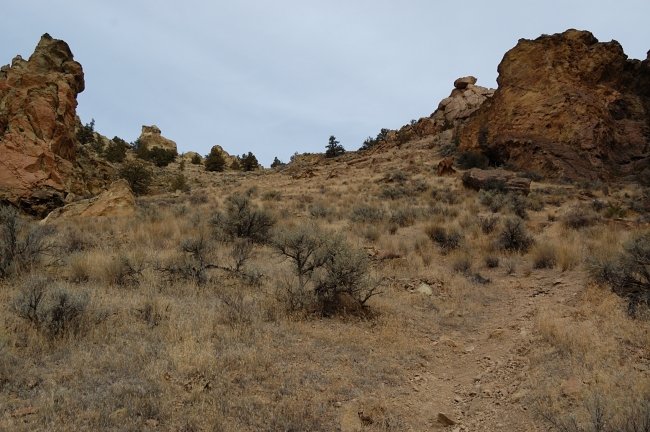 Took a faint trail at one of switchbacks, and it went UP