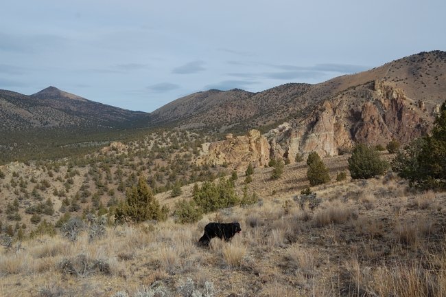 We kept on the ridge and soon intersected a good trail that is not on official map (I tried to follow Sullivan's map, though it got it only partially correct)