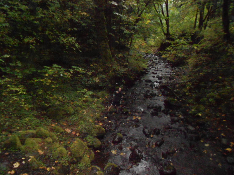 Thum down in Harphan Creek