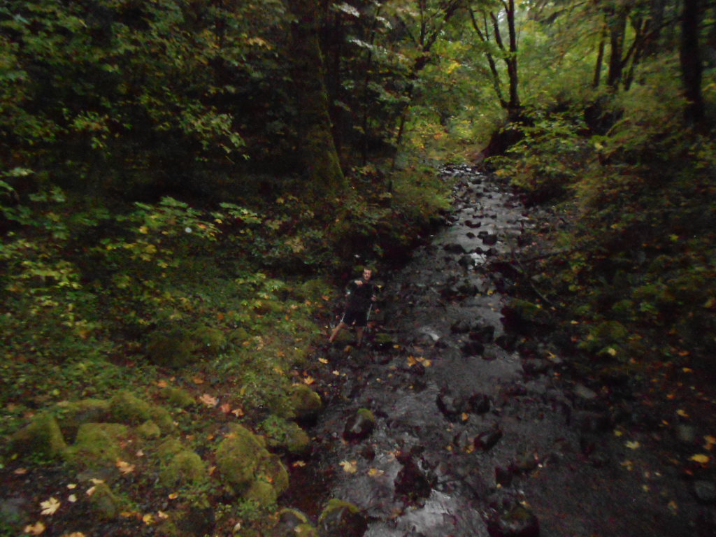 Thum down in Harphan Creek