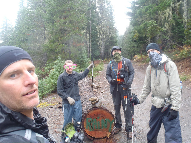Rainy log group pic