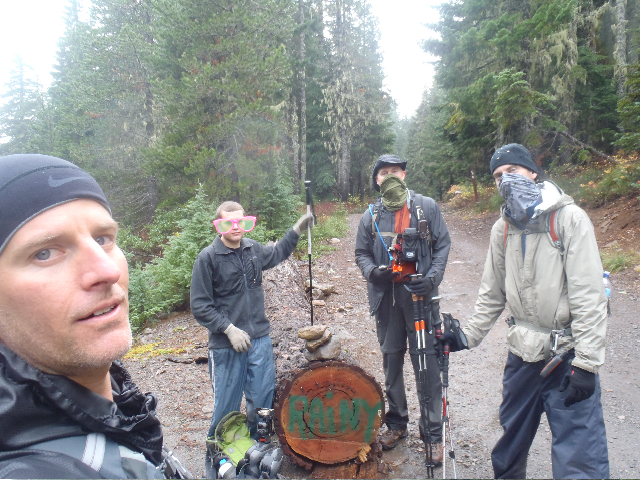 Rainy log group pic