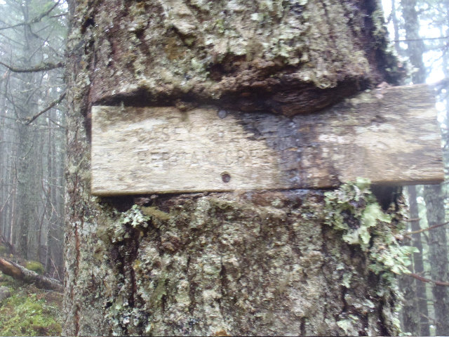 Signage for the very crappy Casey Creek Ridge trail!