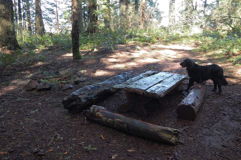 Foxglove Creek camp