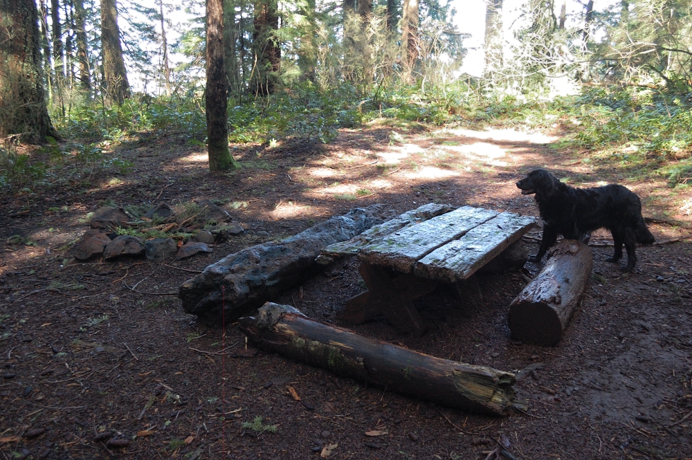 Foxglove Creek camp