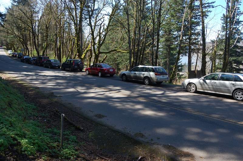 Cars parked along the shoulder, both parking areas were full