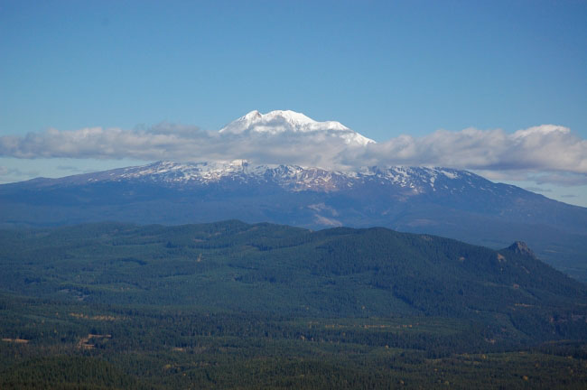 Adams