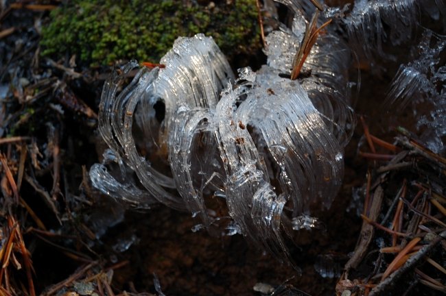 Strange ice near the trail