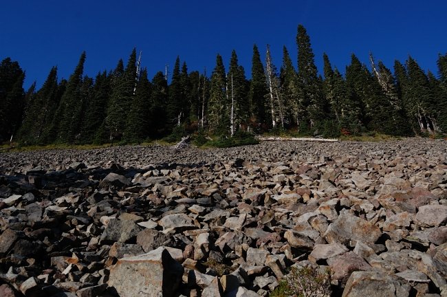 Rock slide S of Bird Mtn