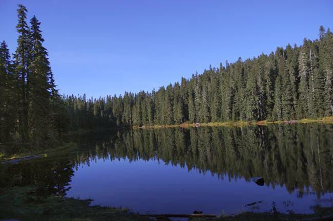 Deer Lake