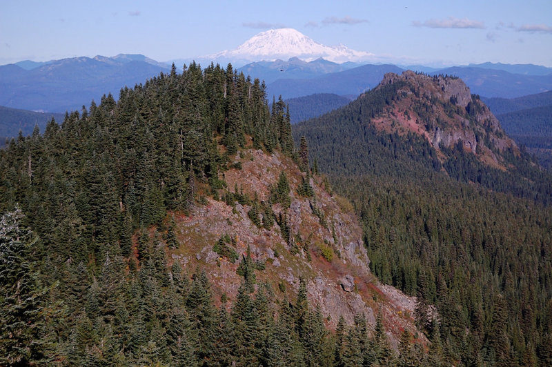 View north from Bird Mtn. ridge