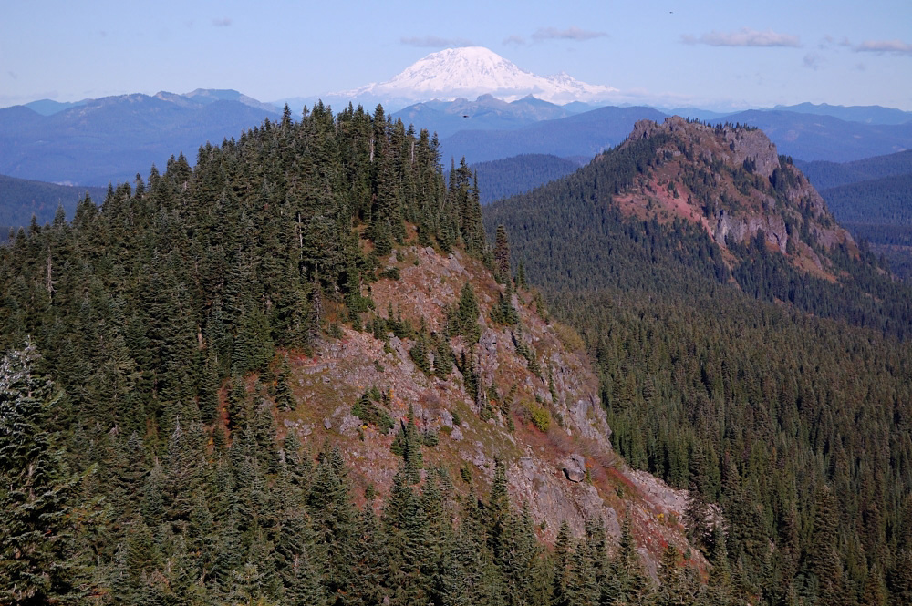 View north from Bird Mtn. ridge