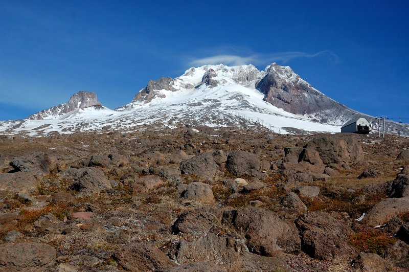 We decided enough of Paradise Park, let's try something new, so we turned up Wilcox Hut trail