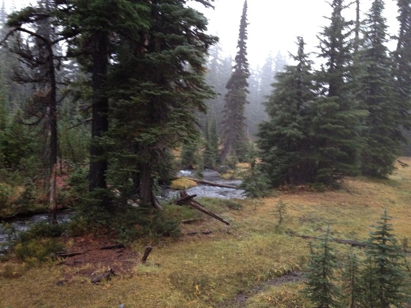 Fall Creek in the morning