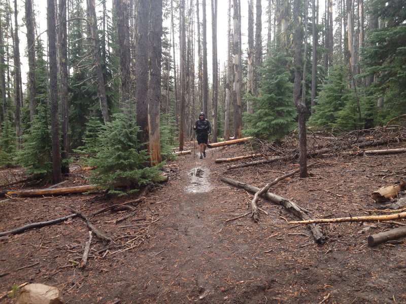 Chris arriving at the junction below Scott Pass