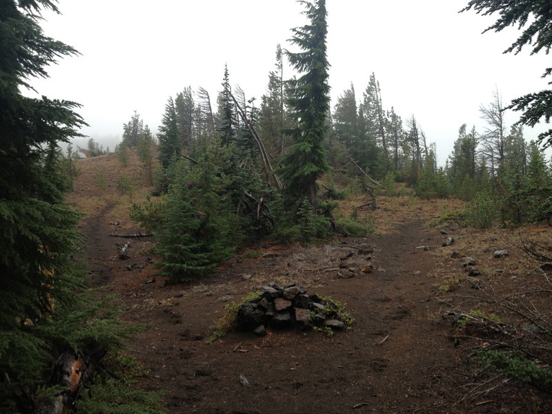 Looking back at the junction whence we came—right is the west side of the mountains, left is the east