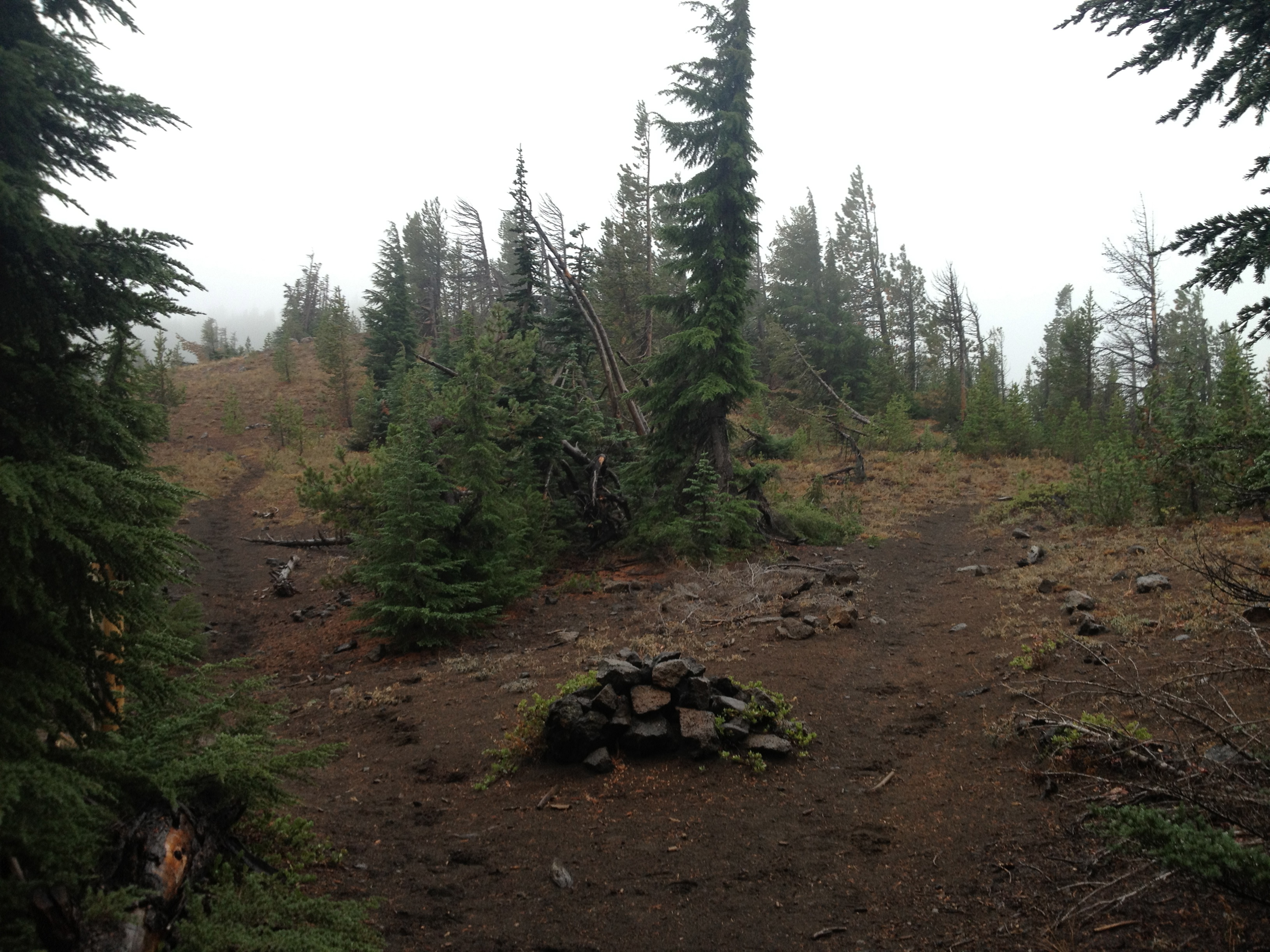Looking back at the junction whence we came—right is the west side of the mountains, left is the east