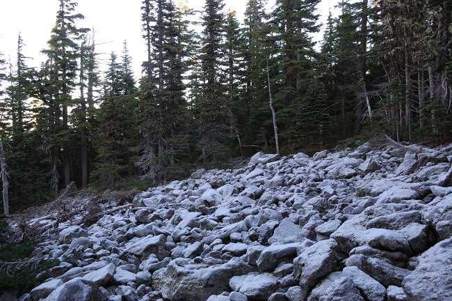 This looks like snow, but it's very thick rime. BTW it may snow tomorrow down to 3000' in the Gorge!