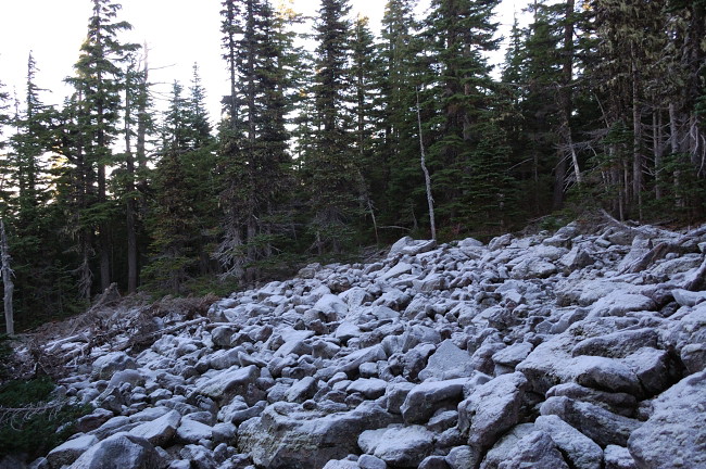 This looks like snow, but it's very thick rime. BTW it may snow tomorrow down to 3000' in the Gorge!