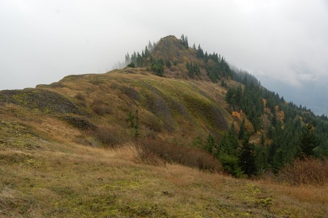 View from the north side