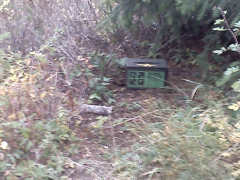 Ewww, had to show her where the geo box is!