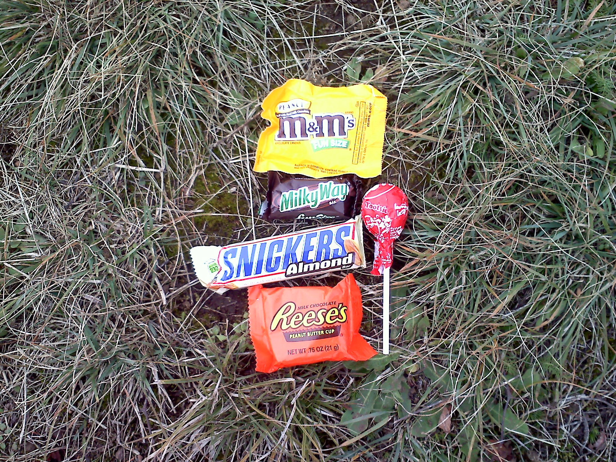 Halloween candy, the best part of hiking with your kid a week after Halloween!!