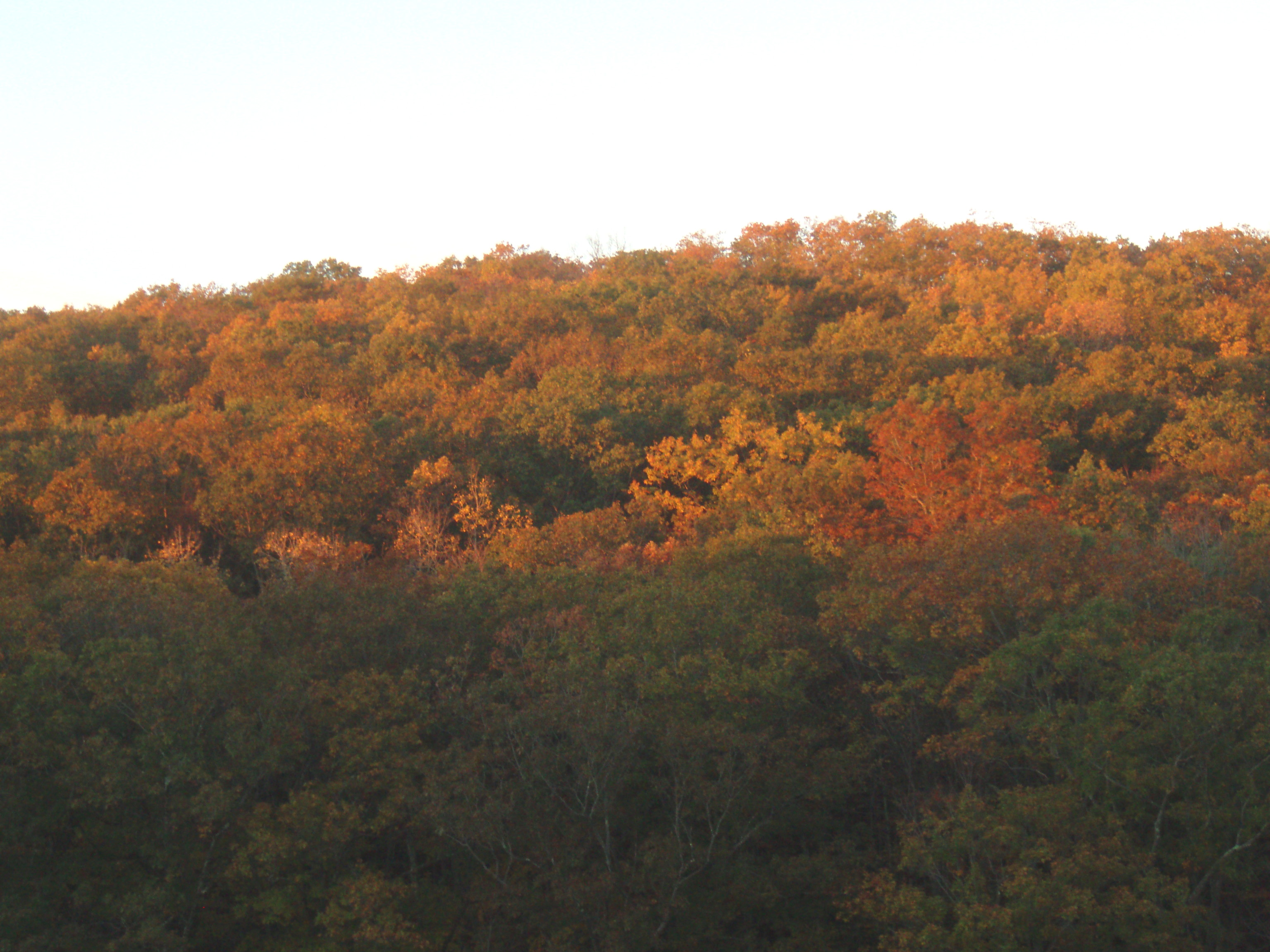 sunrise in CT