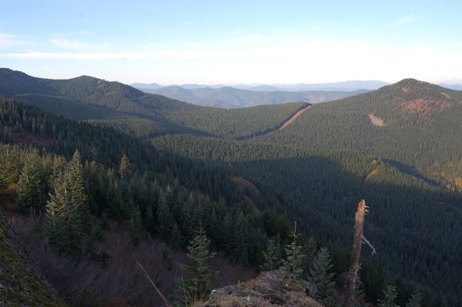 Greenleaf Basin