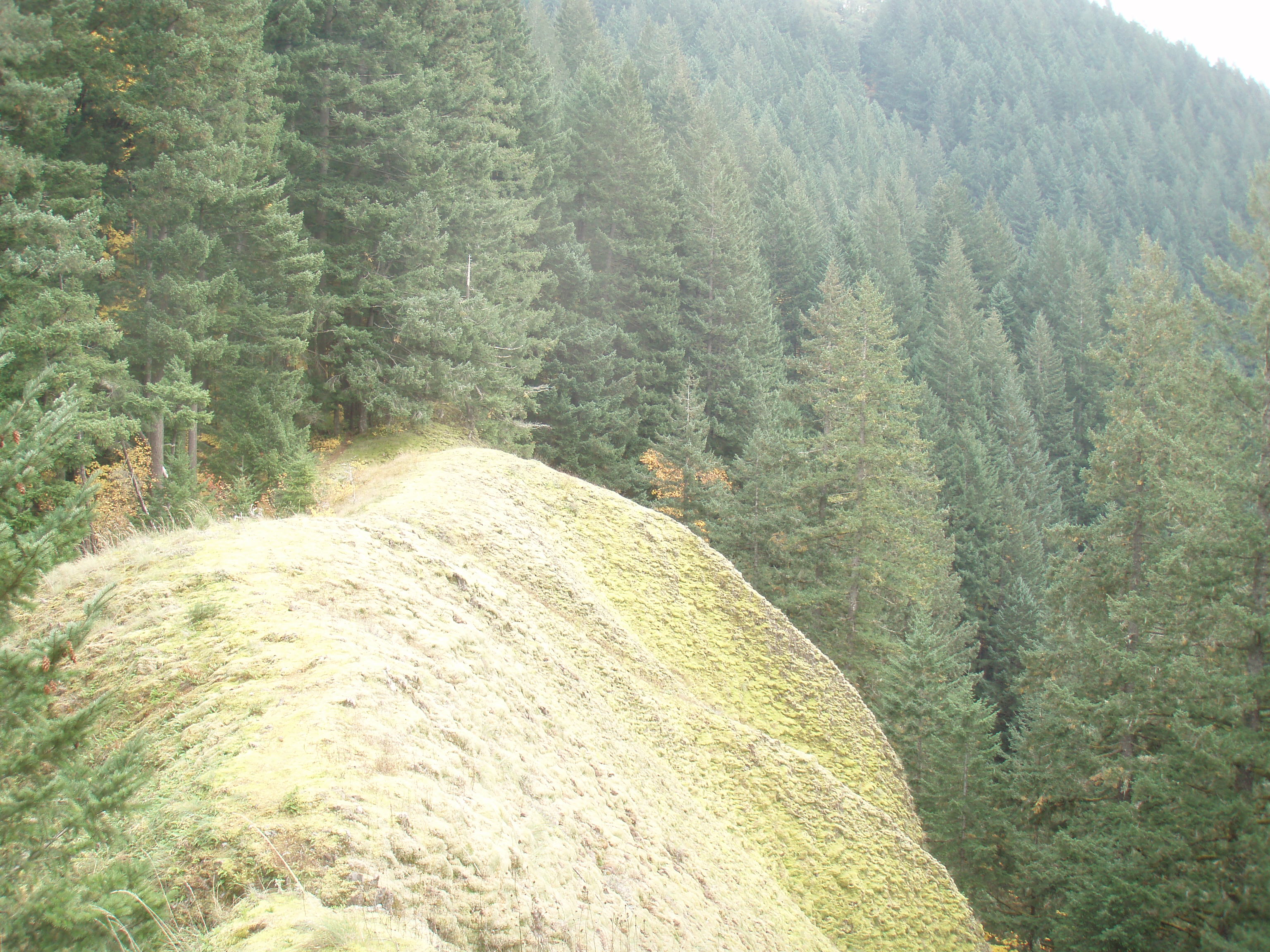 Nifty ridgewalk above Multnomah Creek Canyon