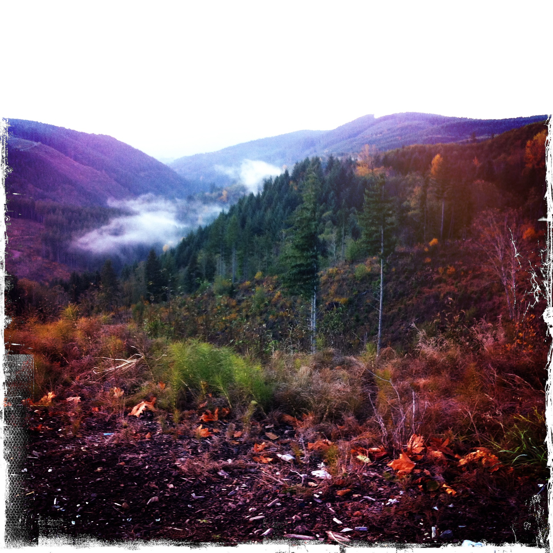 foggy valley