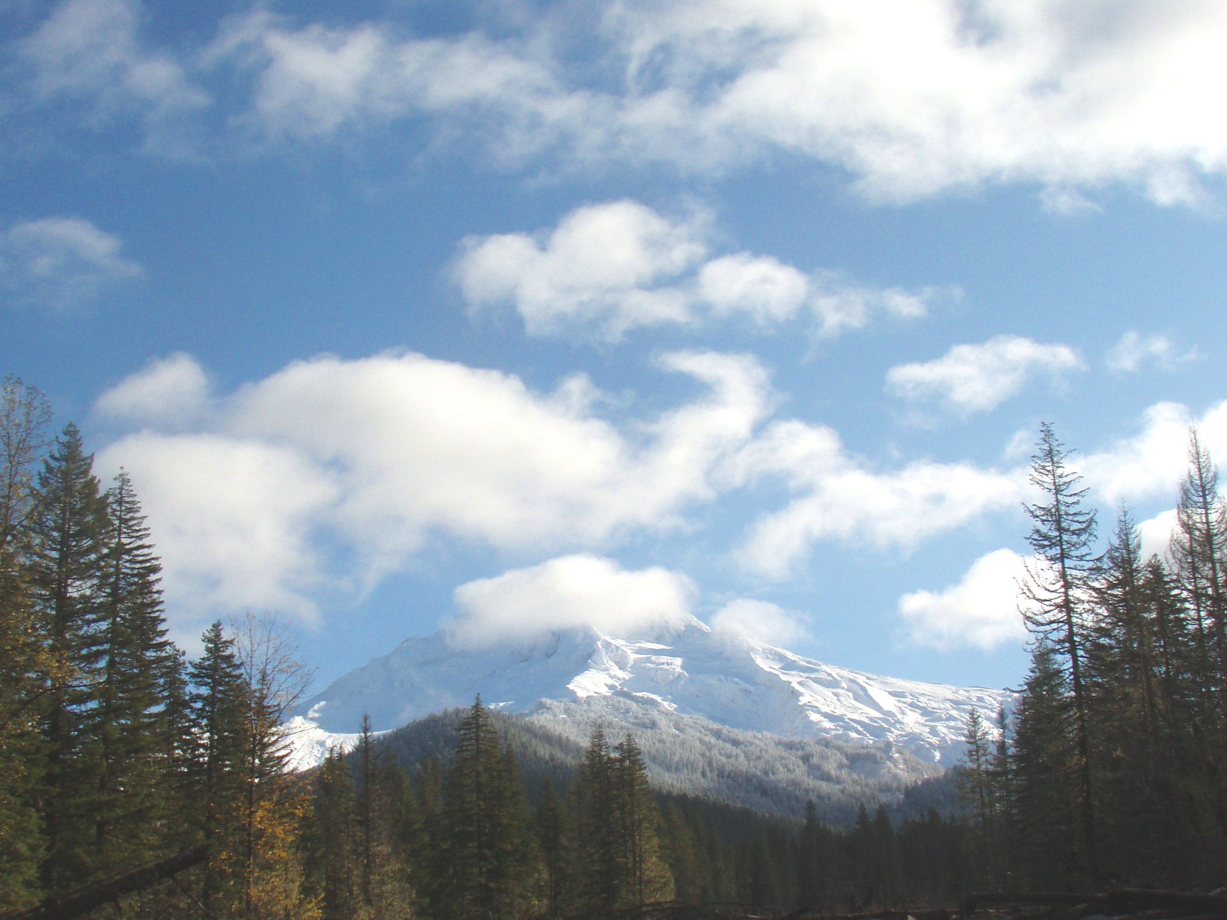 mountain view