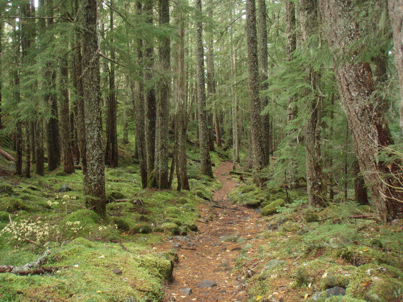 such a goregeous trail!