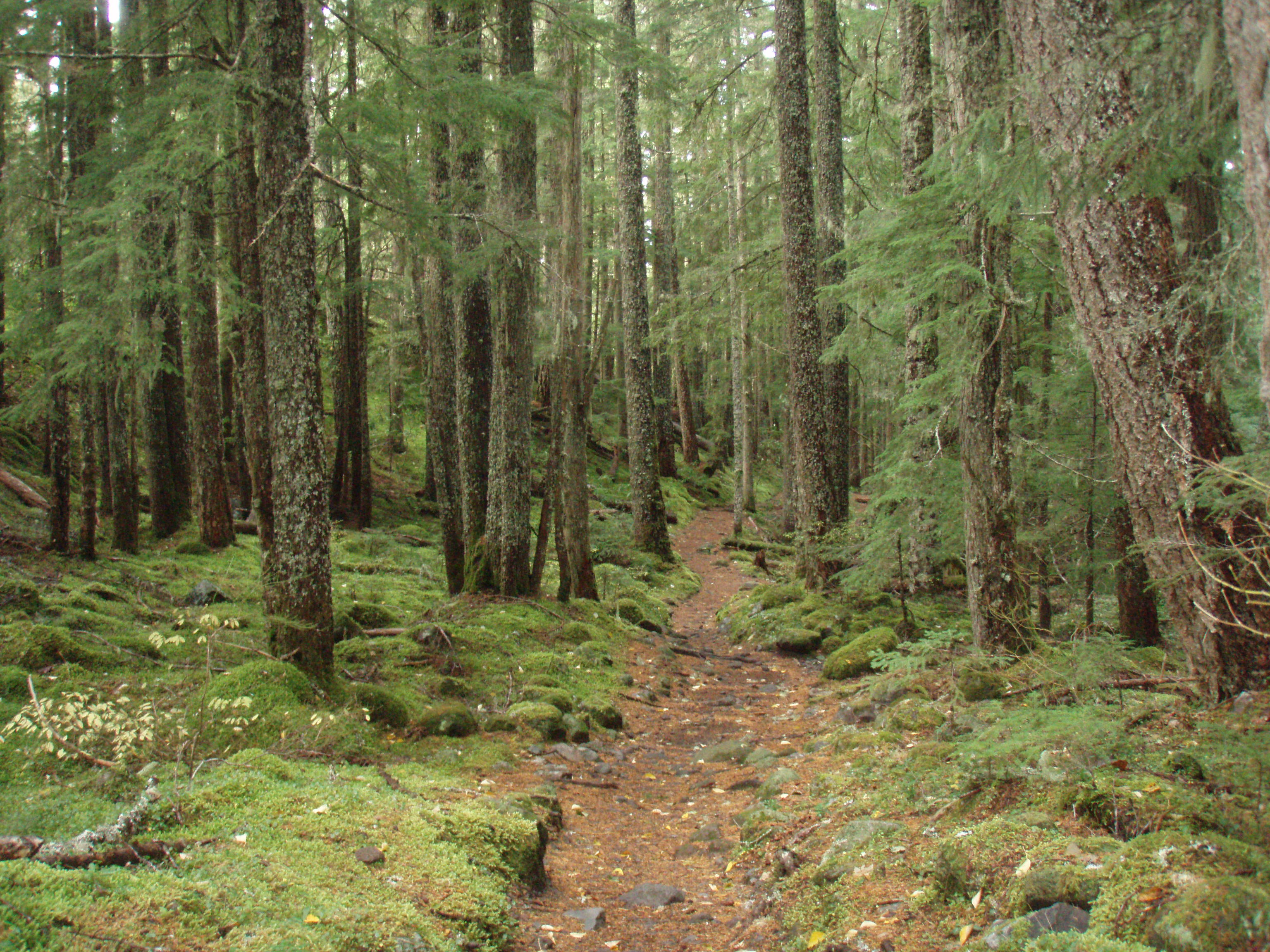 such a goregeous trail!