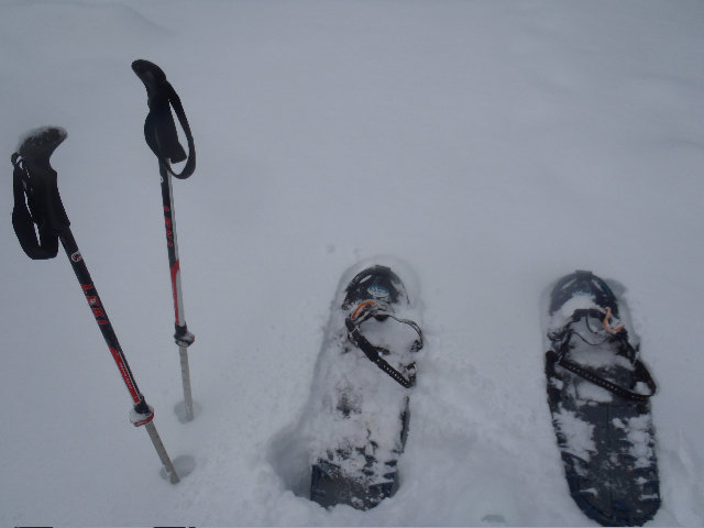 Switching over to snow shoes around 2600' or so...