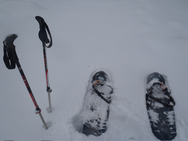 Switching over to snow shoes around 2600' or so...
