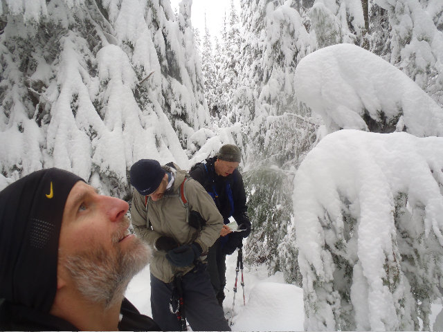 Making doubly sure, but we had no nav pronlems despite 30'' of snow and never being up there before...