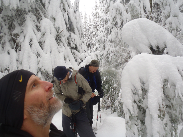 Making doubly sure, but we had no nav pronlems despite 30'' of snow and never being up there before...