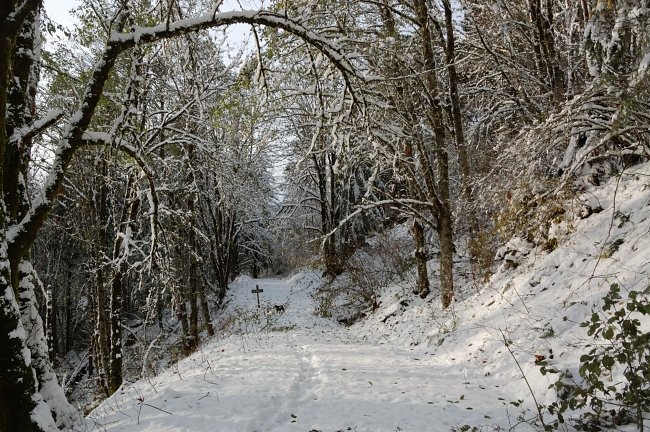 The most snow seemed to be on the road at the ridge trail junction. The trail is mostly under the trees so it was not buried that deep.