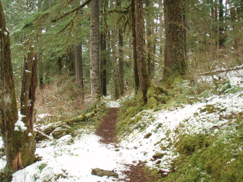 trail down low