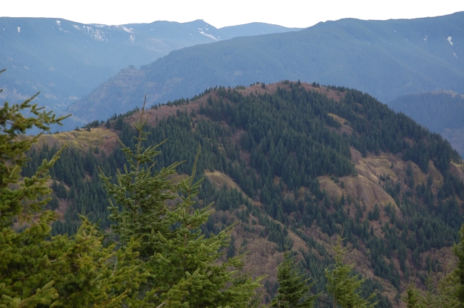 Looking to Hamilton Mtn.